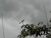 DSC 0183