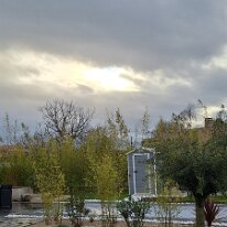 20250322_082317