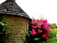 DSC00293