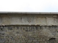 IMG 3388